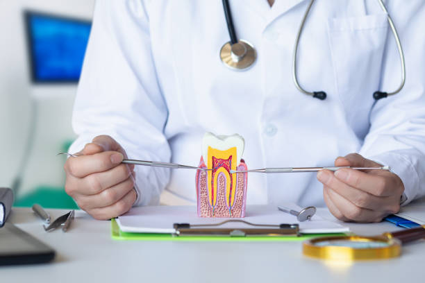 Best Chipped Tooth Repair Near Me  in Naples Manor, FL